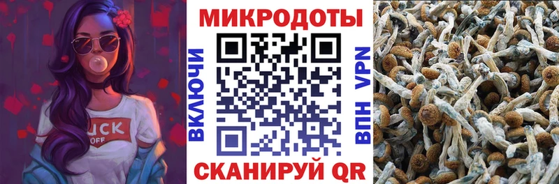 Псилоцибиновые грибы ЛСД  Шарыпово 