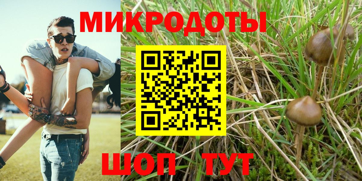 Лсд 25 Шарыпово